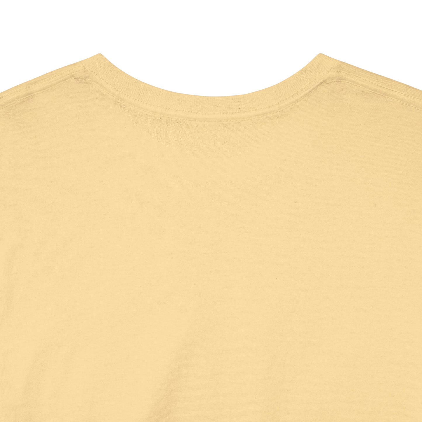A Color filled Bird- Luxe Stitch & Embroidered: Premium Women Designer Bird Cotton Tee
